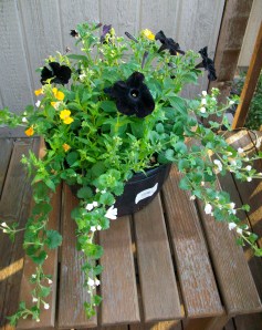 Wedding colored flowers