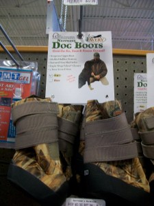 dog boots
