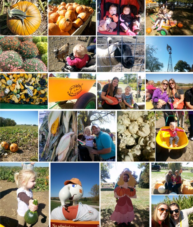 I could think of nothing better to do on a fall Sunday!