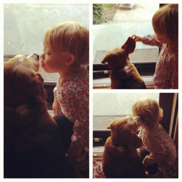 Bean playing with her bestie, Legal.