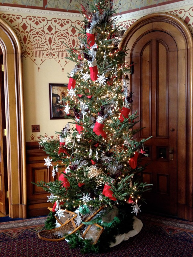 Holly and Ivy set up 3