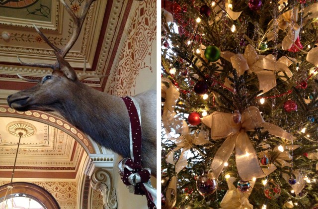 Holly & Ivy_Terrace Hill friends