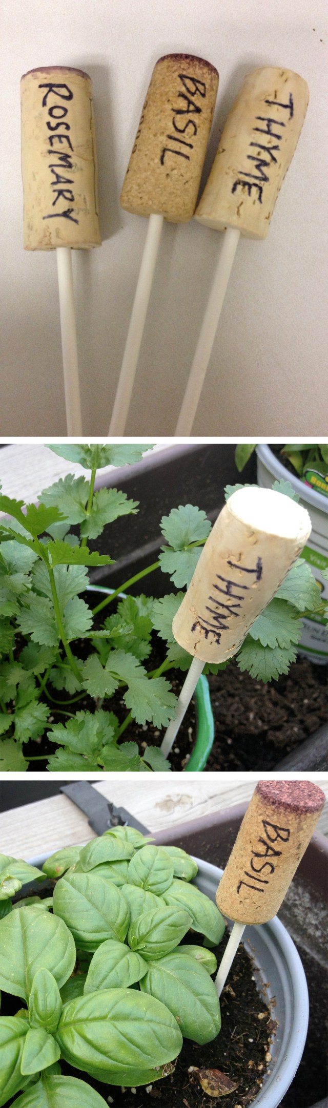 Wine cork herb garden markers