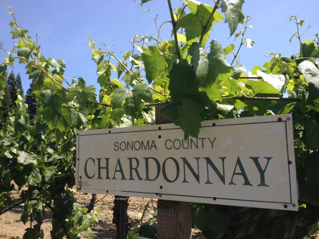 Sonoma County