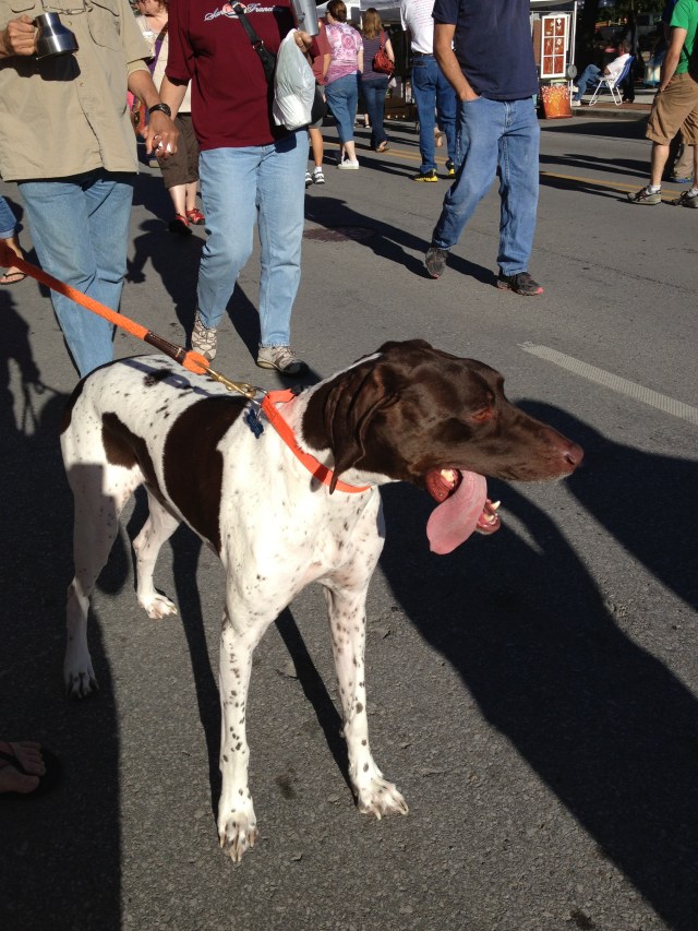 Karl's 1st  Farmers Market