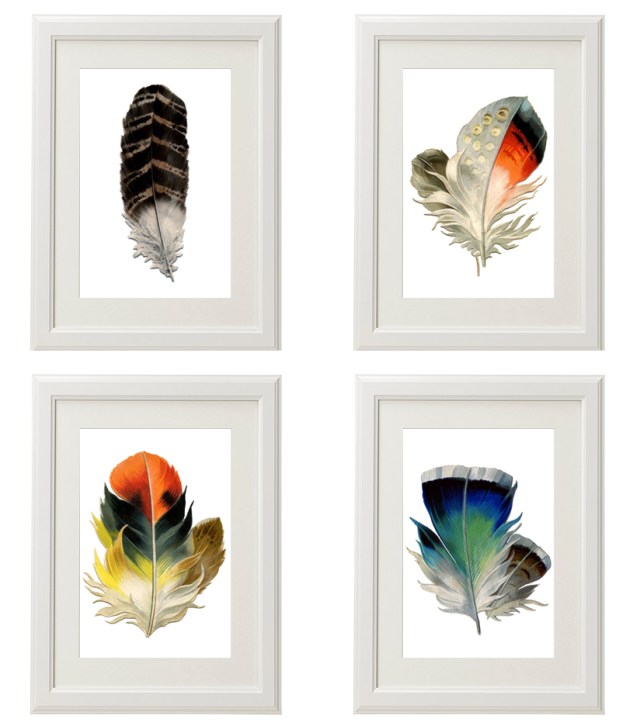 feathers for Baby B's nursery