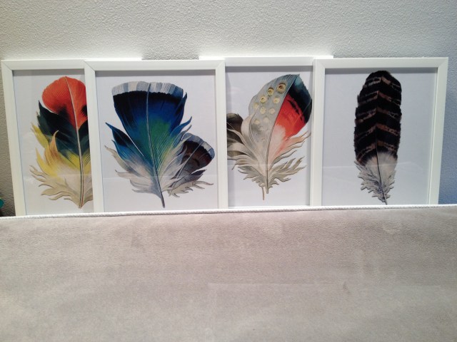 feathers framed