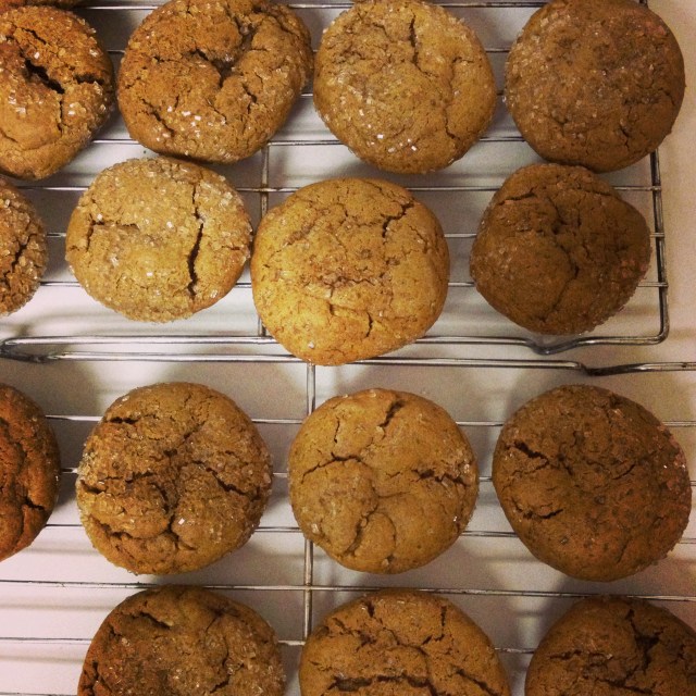 Molasses cookies