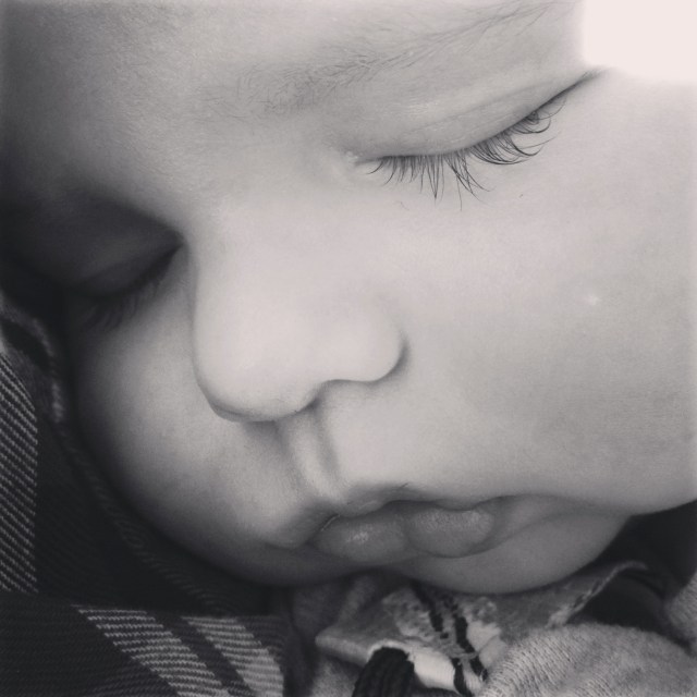 Everett's eyelashes