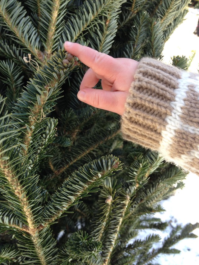 picking out the treet