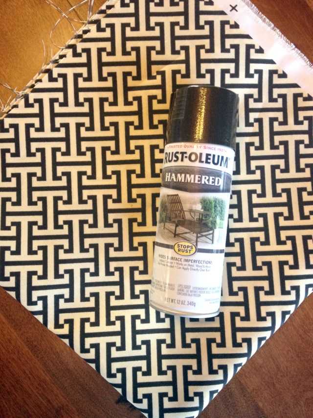 Fabric and spray paint