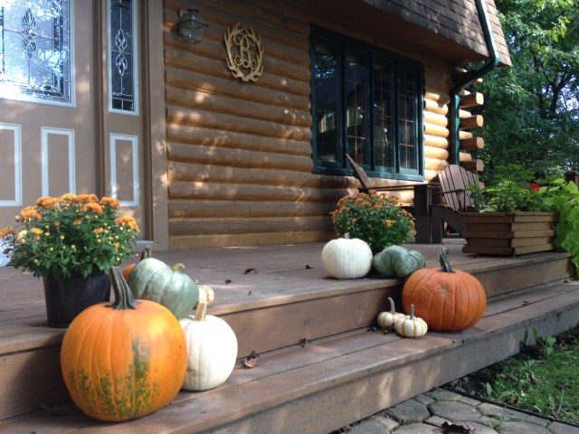 Fall frontsteps 2015