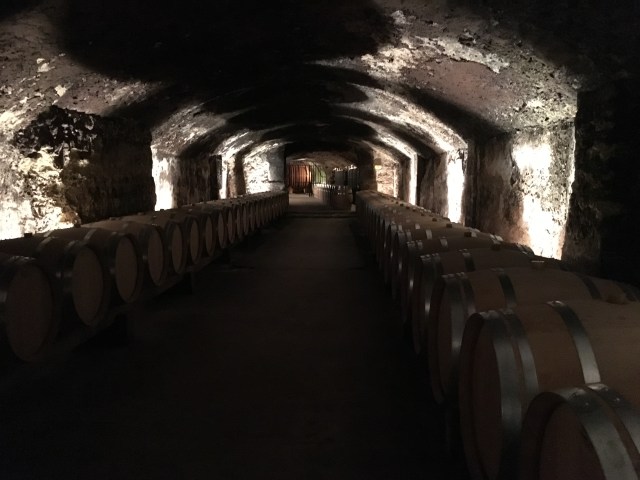 France 2015: Chateau Le Nerthe