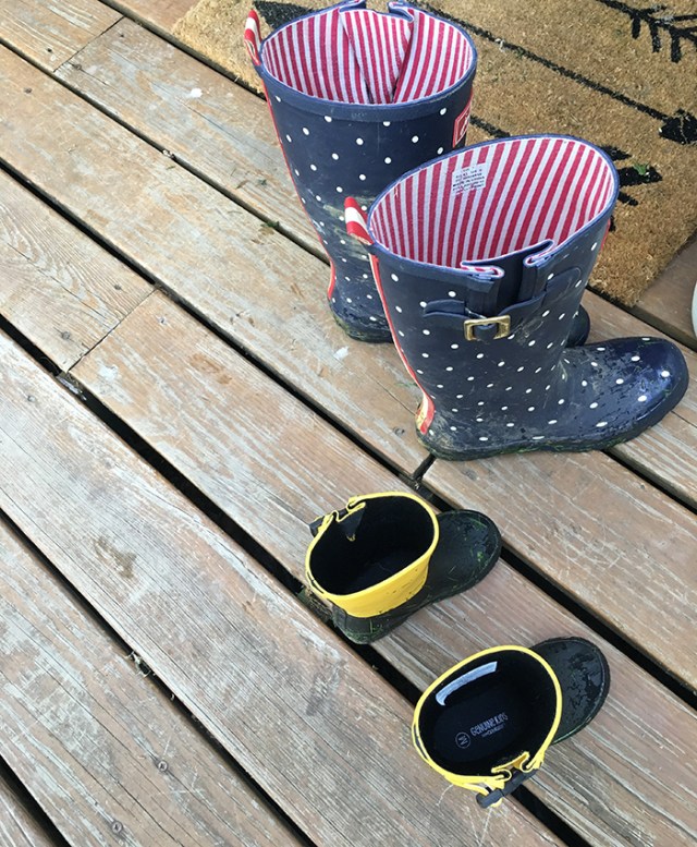 WellieBoots