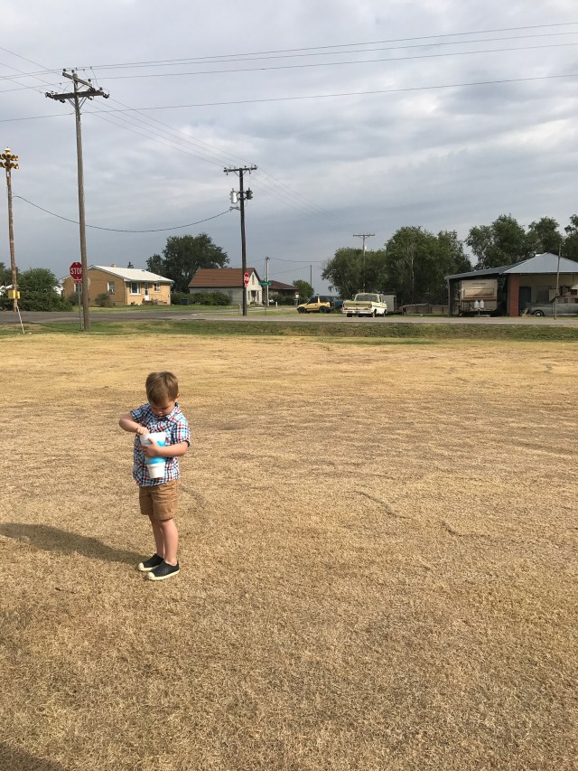 HaasFamilyReuion201713