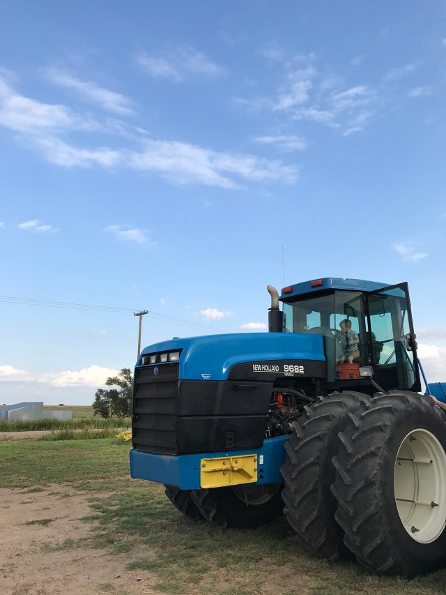 HaasFamilyReuion201728