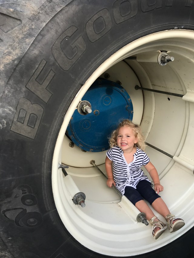 HaasFamilyReuion201729