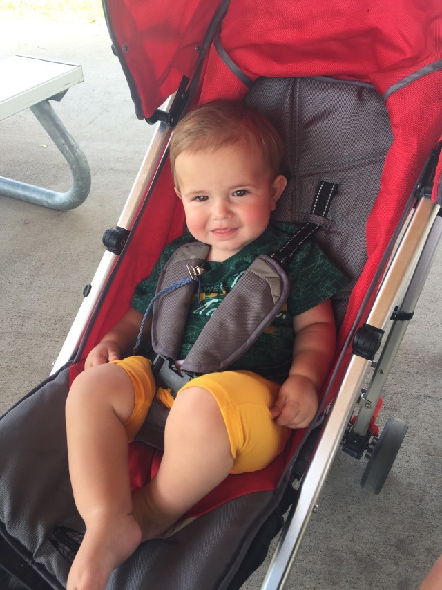 HaasFamilyReuion201733