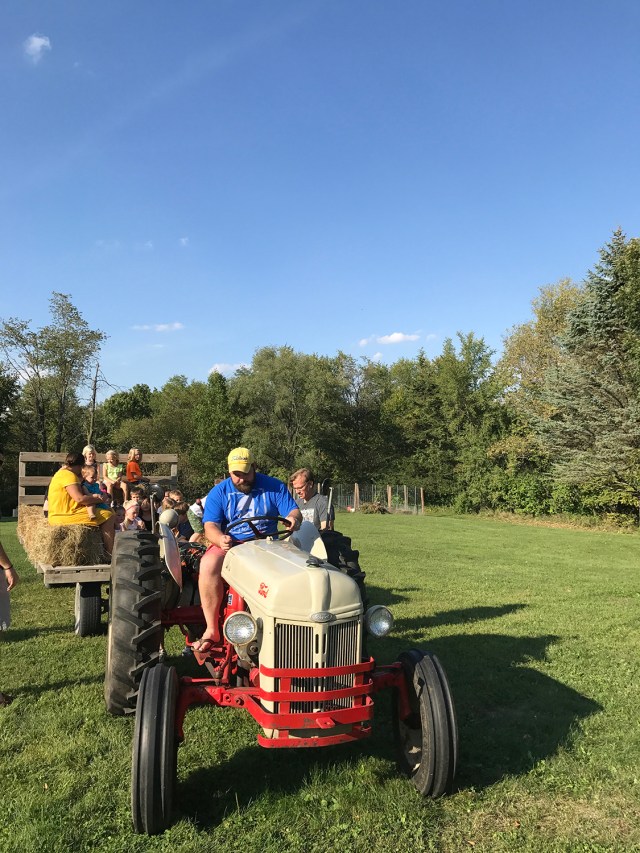 BranstadFallFest201704