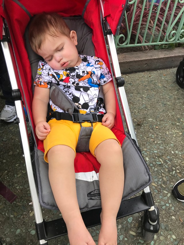 Disneyland2018_05