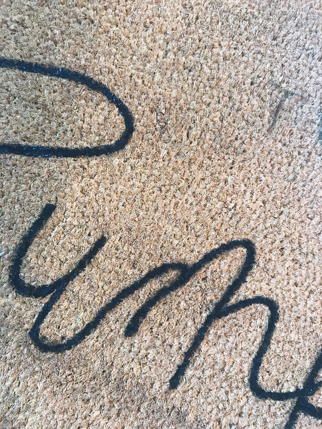 HeyTherePumpkin_2018_00003