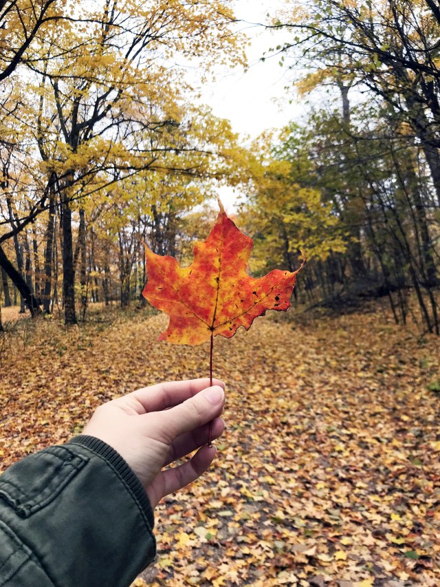 MNGirlsWknd2018_00022