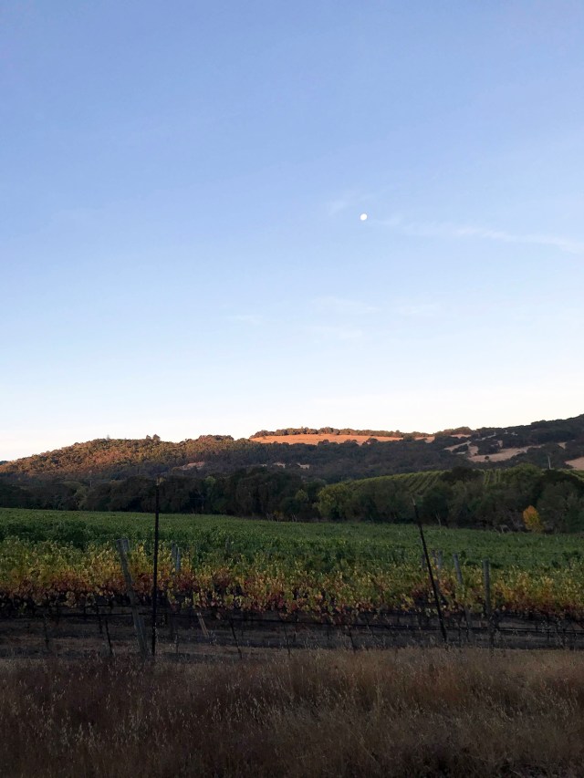 SonomaSanFran_2018_00013