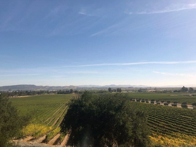 SonomaSanFran_2018_00018