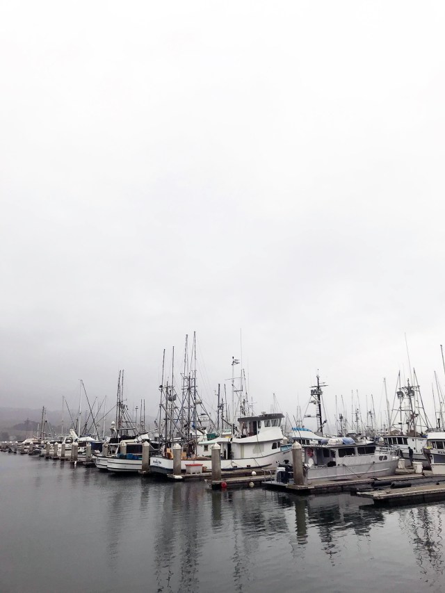 SonomaSanFran_2018_00054