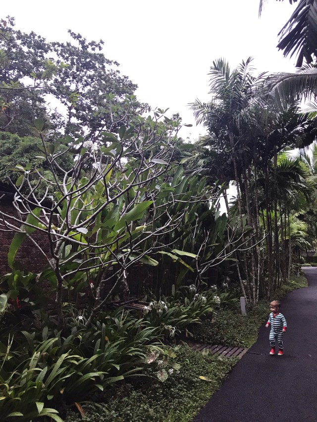 thailand1_2018_00004