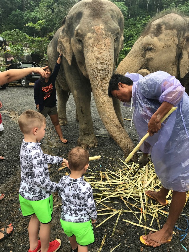 thailand2_2018_00014