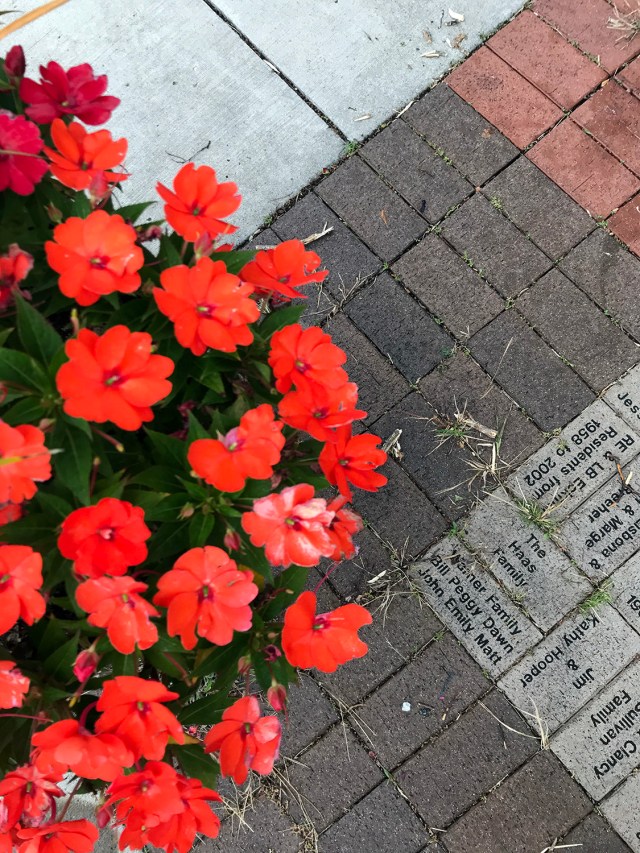 BeaverdaleFallFest2019_12