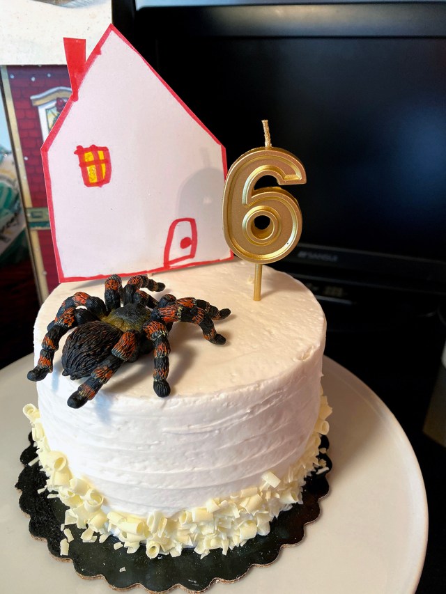 HomeAloneParty2019_11